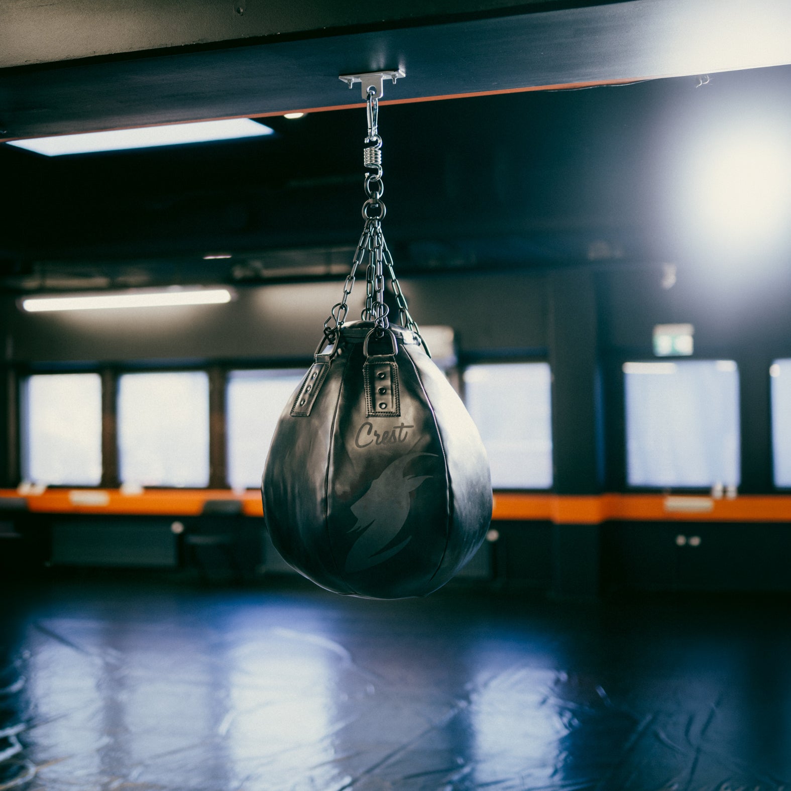 "GOAT" Big Ball punching bag | Filled