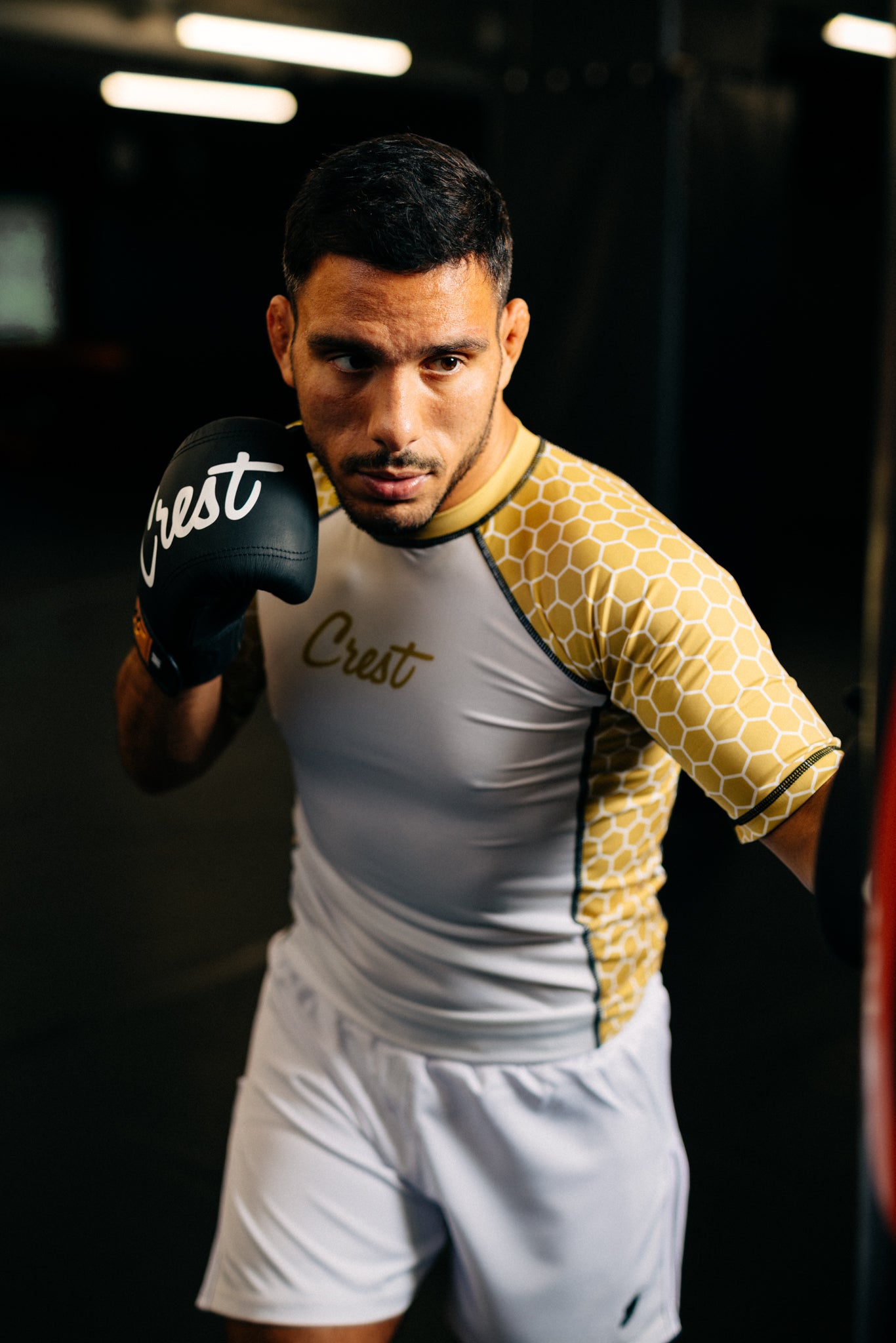 Rash Guard "Killer Bee" | Gold / White (short)