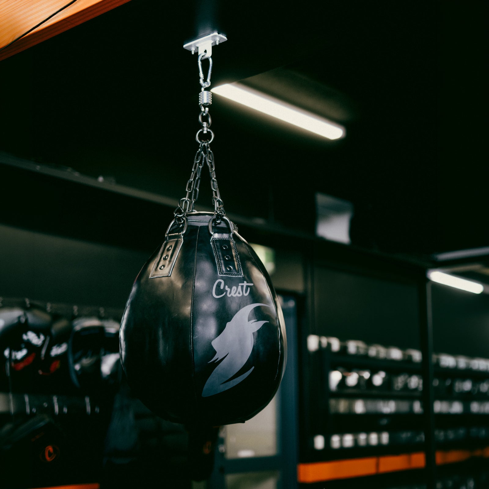 "GOAT" Big Ball punching bag | Filled