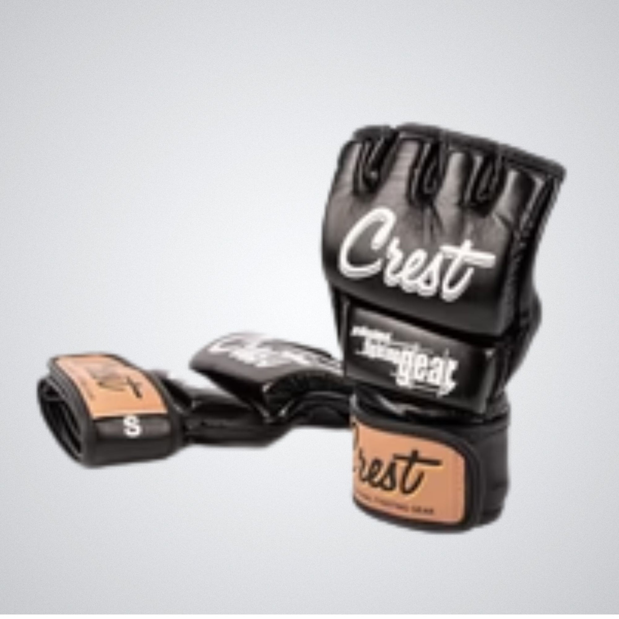 Pro MMA gloves